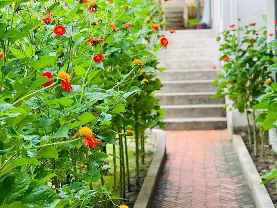 Golden Lotus Spa & Homestay Ap Thien Phuoc Екстериор снимка