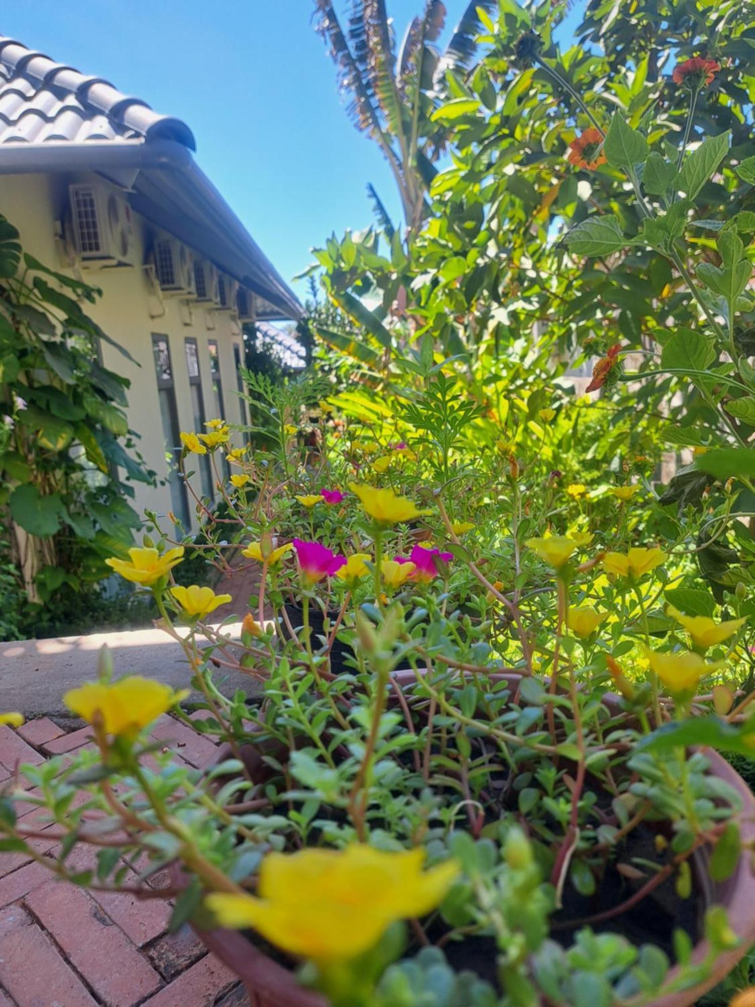 Golden Lotus Spa & Homestay Ap Thien Phuoc Екстериор снимка