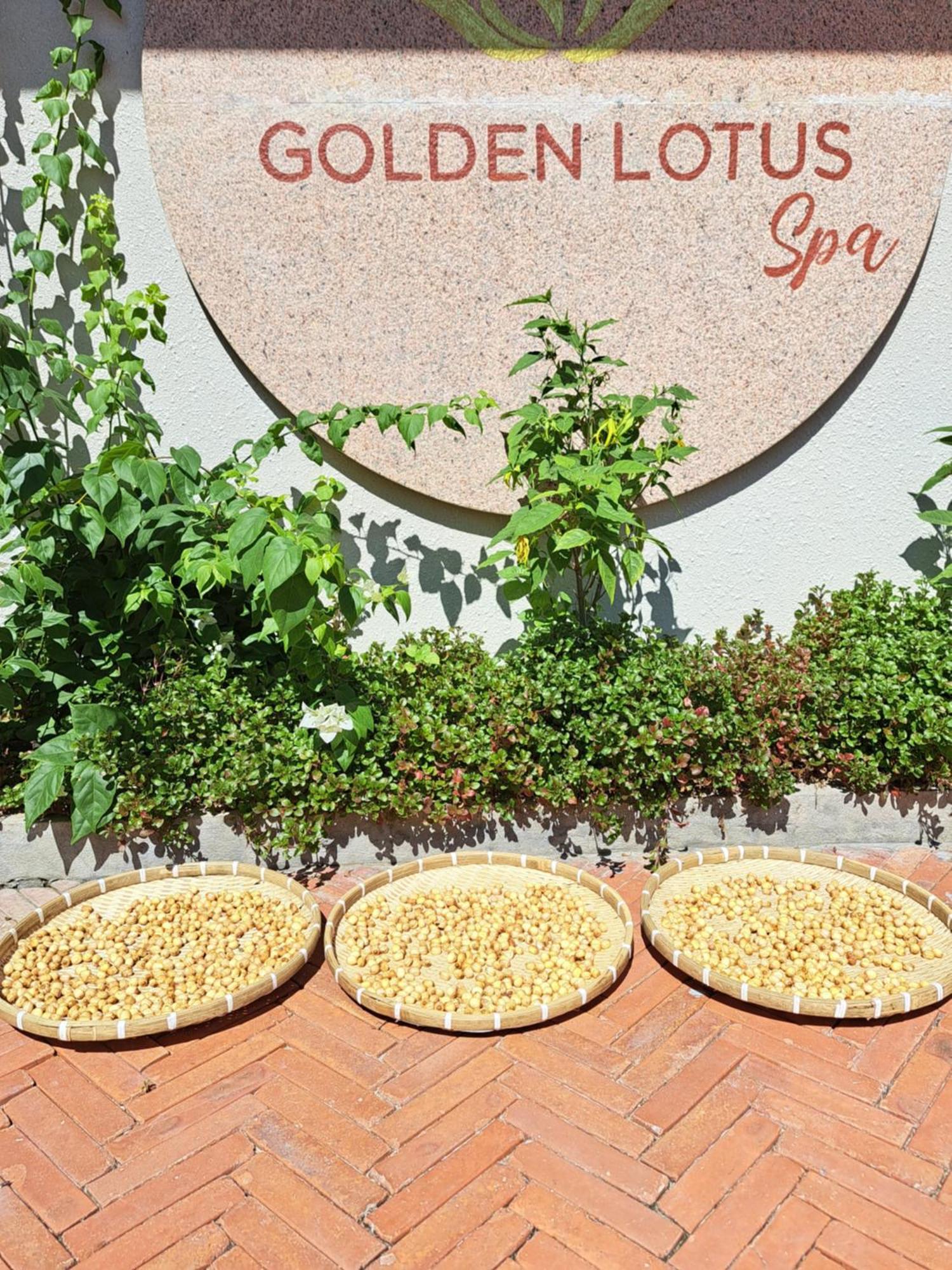 Golden Lotus Spa & Homestay Ap Thien Phuoc Екстериор снимка